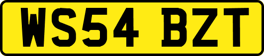 WS54BZT