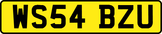 WS54BZU