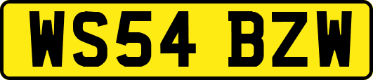 WS54BZW