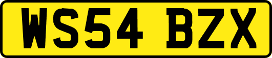 WS54BZX
