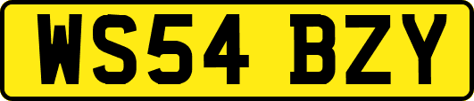 WS54BZY
