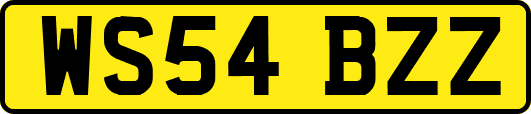 WS54BZZ