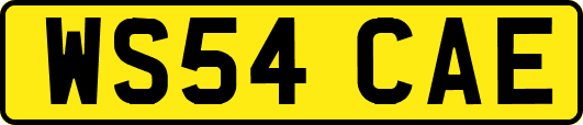 WS54CAE