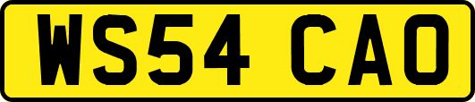 WS54CAO
