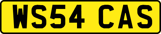 WS54CAS