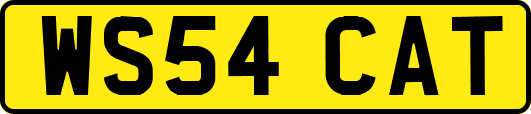 WS54CAT