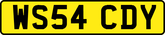 WS54CDY