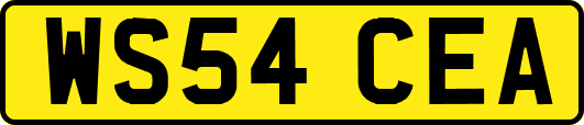 WS54CEA