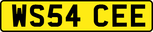 WS54CEE