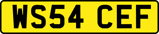 WS54CEF