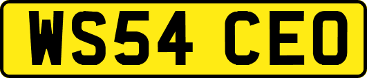 WS54CEO