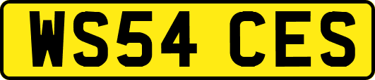 WS54CES