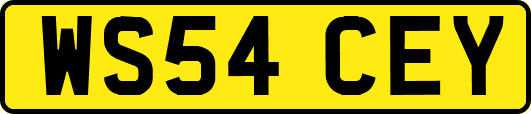 WS54CEY