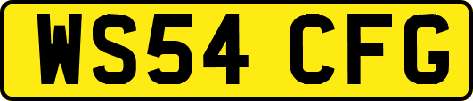 WS54CFG
