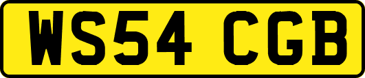 WS54CGB