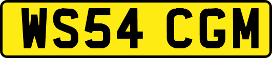WS54CGM