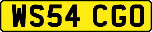 WS54CGO