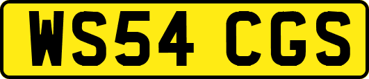 WS54CGS