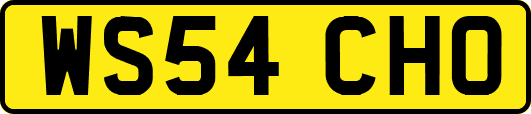 WS54CHO