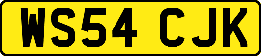 WS54CJK