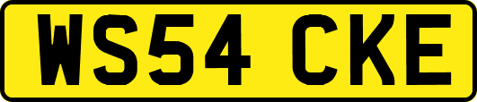 WS54CKE