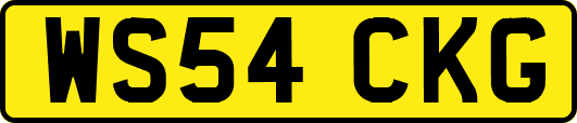 WS54CKG