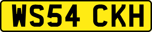 WS54CKH