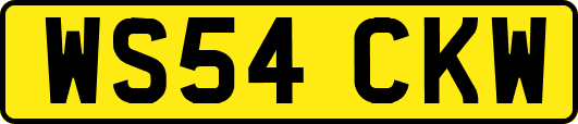 WS54CKW