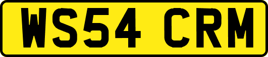WS54CRM