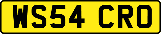 WS54CRO