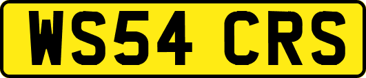 WS54CRS