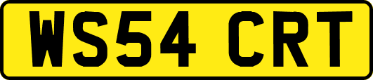 WS54CRT