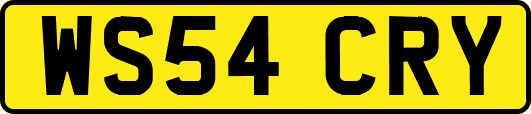 WS54CRY