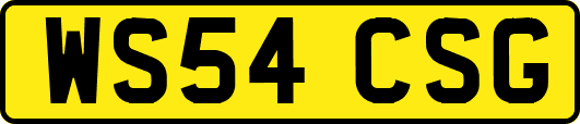 WS54CSG