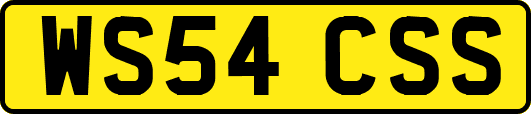WS54CSS