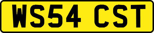 WS54CST