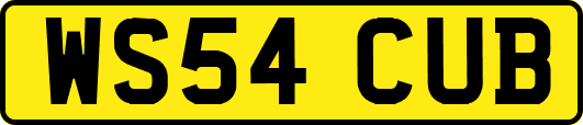 WS54CUB