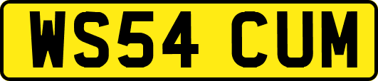WS54CUM