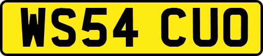 WS54CUO