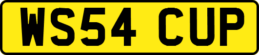 WS54CUP