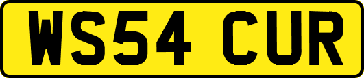 WS54CUR