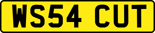 WS54CUT
