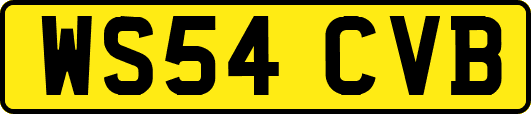 WS54CVB