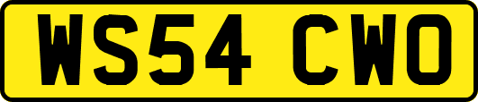 WS54CWO