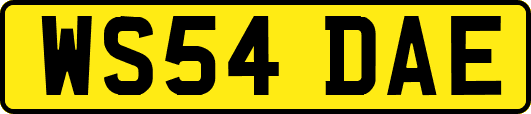 WS54DAE