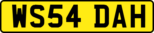 WS54DAH