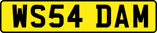 WS54DAM