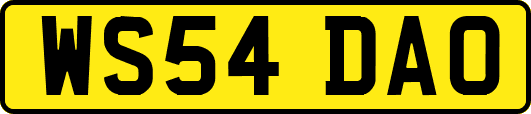 WS54DAO