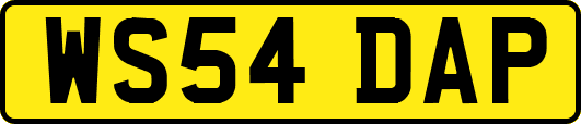 WS54DAP