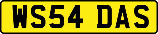 WS54DAS